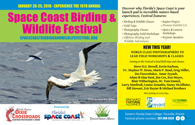 Coming in January, the Space Coast birding and Wildlife Festival!